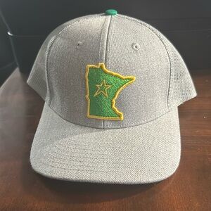 MN North Star logo SnapBack